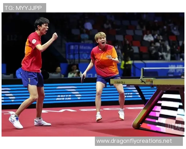 杨静独家分享乒乓球技巧与心得体会助你提升球技的秘诀