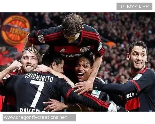 日韩足球明星队的荣耀与梦想之路探秘