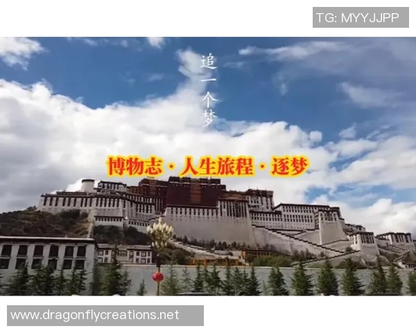 羽毛球场上的追梦旅程：杨娜的奋斗与成长故事