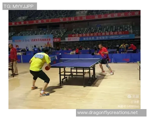 西安乒乓球队的崛起与奋斗历程全景揭秘