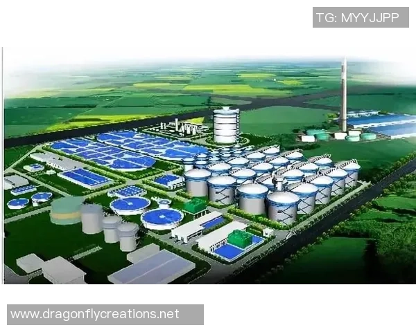 重庆篮球队在钻石联赛中的技术表现分析与未来展望