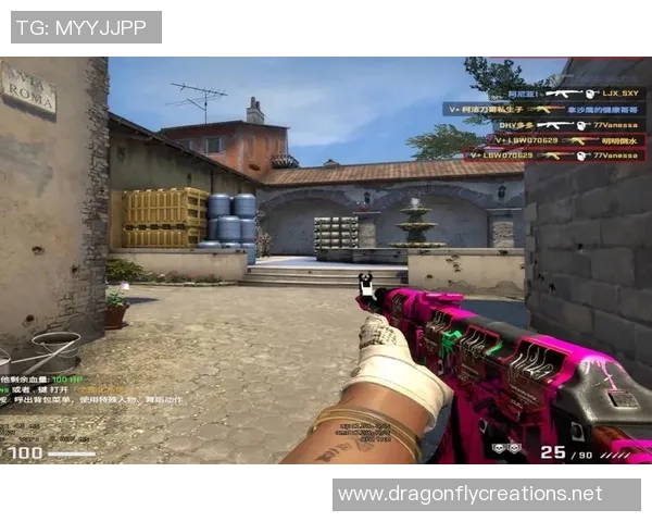 专访黄芳：解密CS_GO成功之道