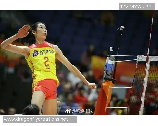 权威发布：排球个人能力实力榜单_1