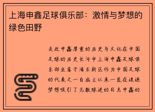 上海申鑫足球俱乐部：激情与梦想的绿色田野