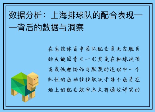 数据分析：上海排球队的配合表现——背后的数据与洞察