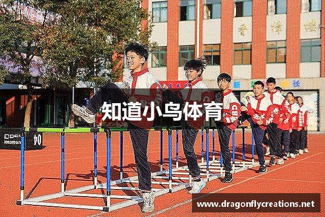 知道小鸟体育